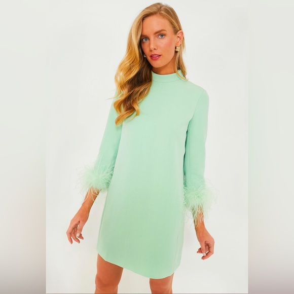 Tuckernuck Dresses & Skirts - NWT Tuckernuck XXL Mint Feather Mod Ellie Dress